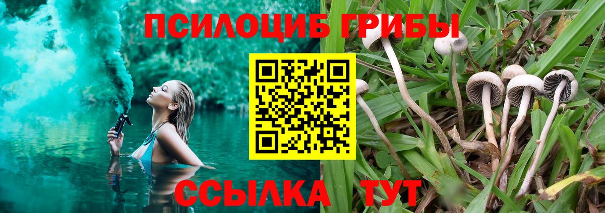 Чусовой  Псилоцибиновые грибы прущие грибы  Вход с VPN 